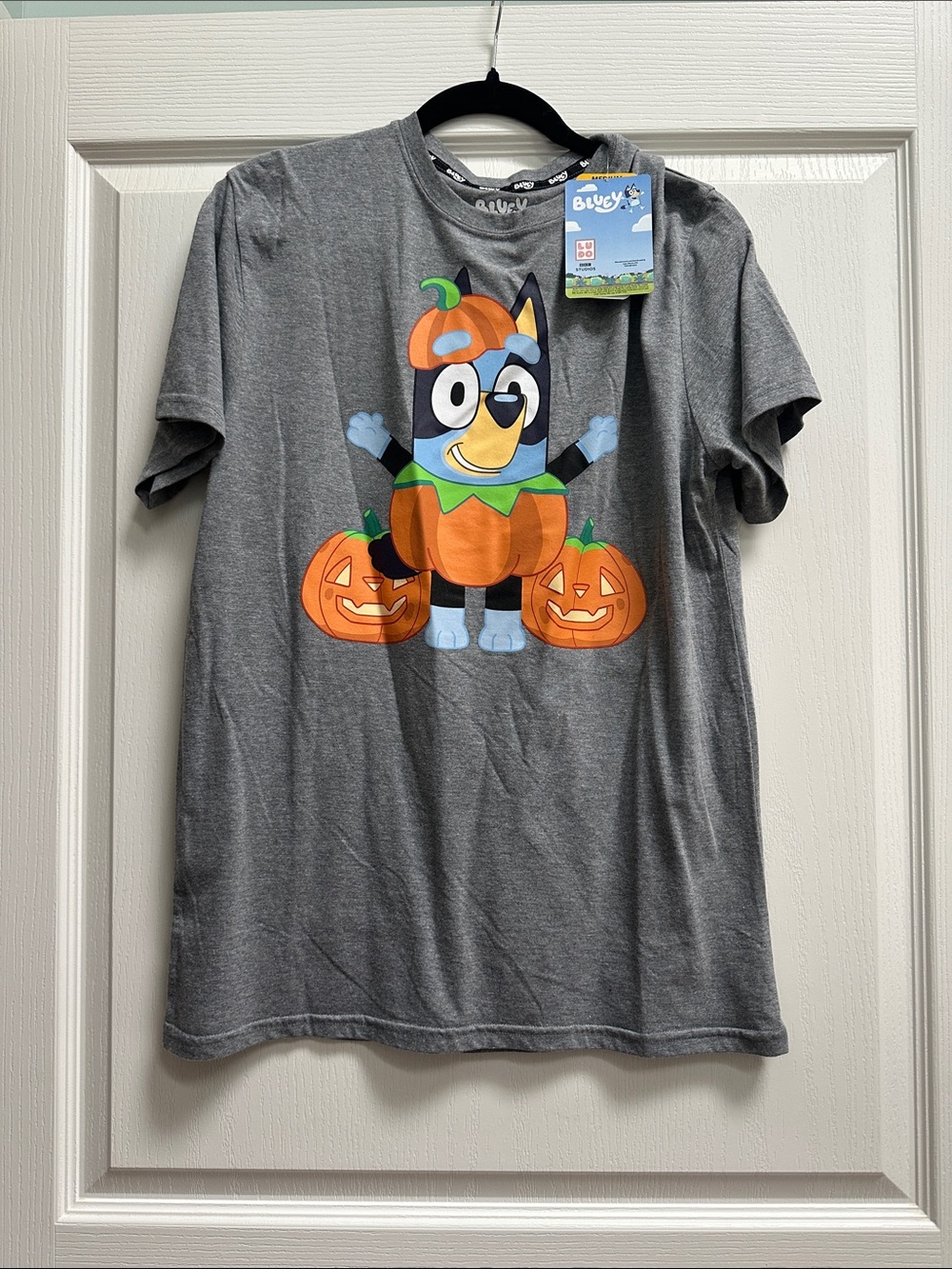 Bluey Gray Pumpkin Halloween Tee